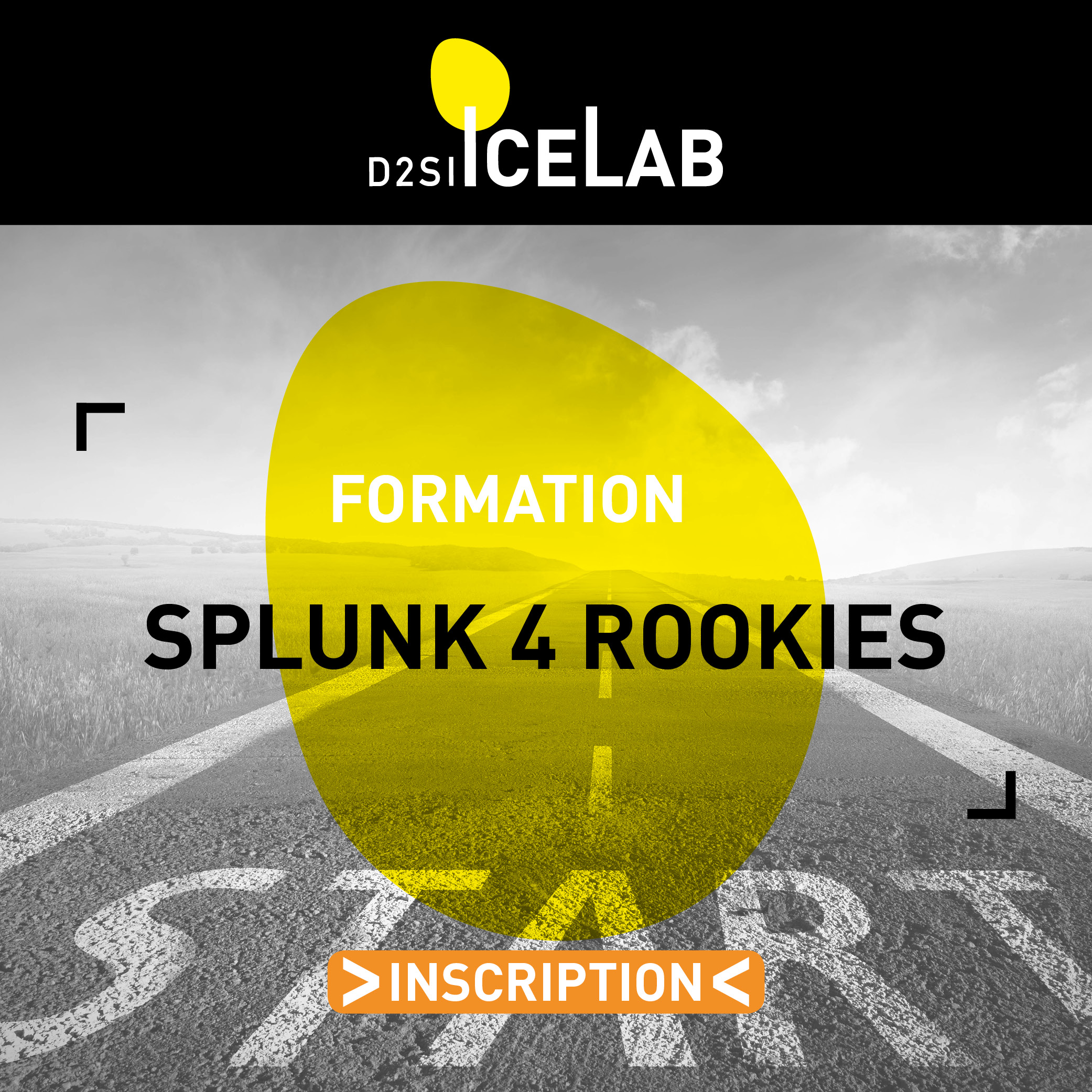 Splunk 4 rookies ICELAB